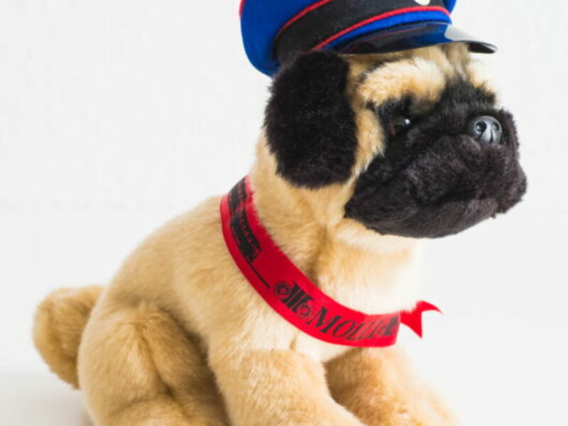 Molli-Mops, groß