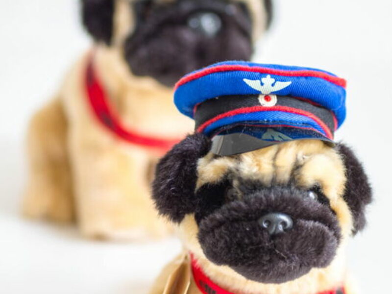 Mops, klein