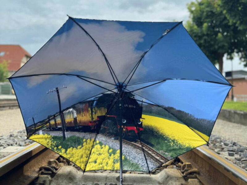 Regenschirm mit Molli-Motiv