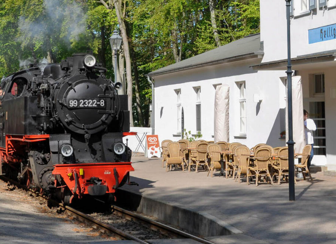 molli-am-bahnhof-heiligendamm-banner