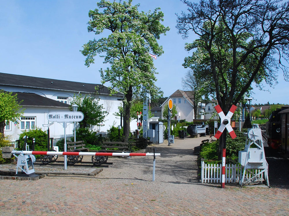 museum-molli