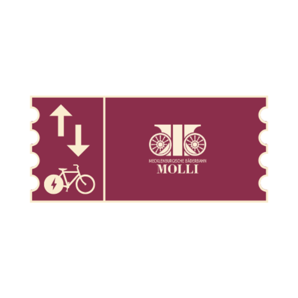 E-Bike / Pedelec, Hin + Rück